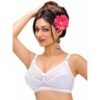 Tulip Daisy Bra
